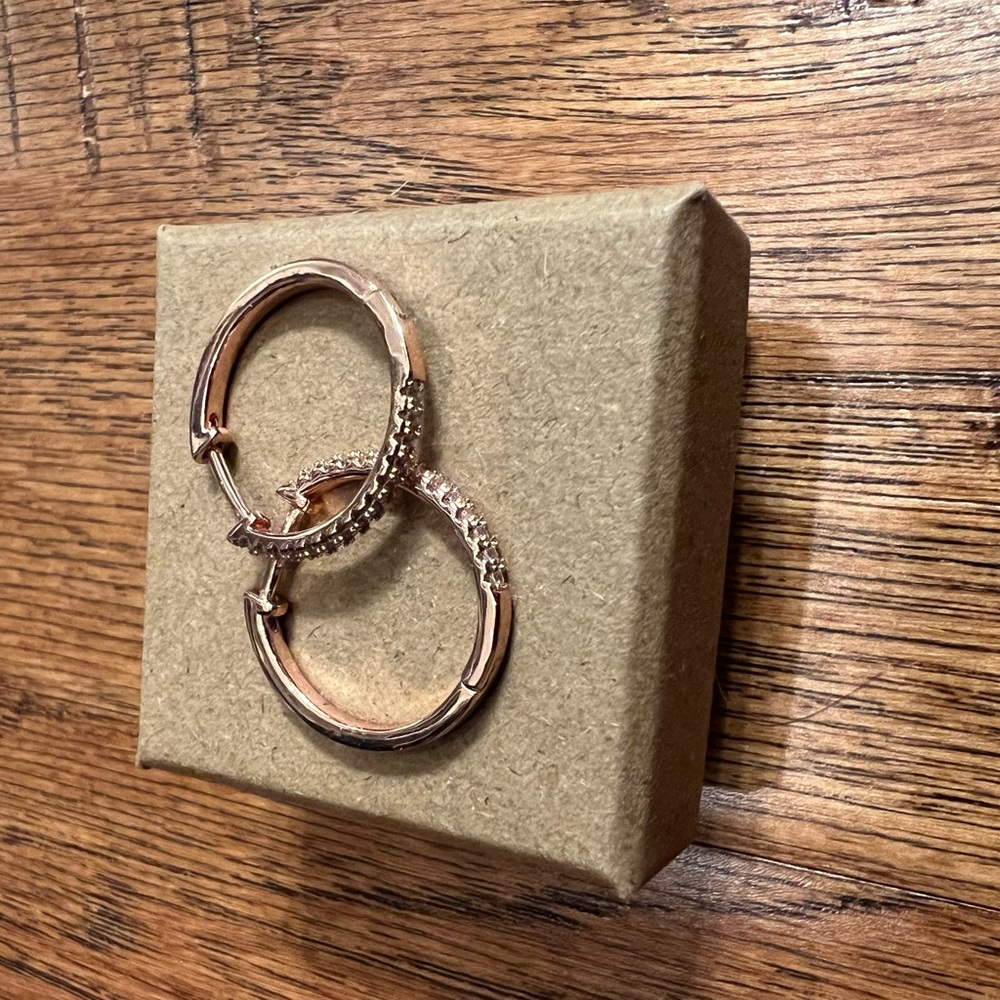 Elegant Rose Gold Hoop Earrings